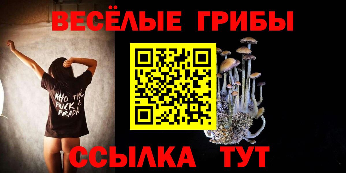 даркнет сайт  Вход с VPN  Новоалтайск  Галлюциногенные грибы мицелий 